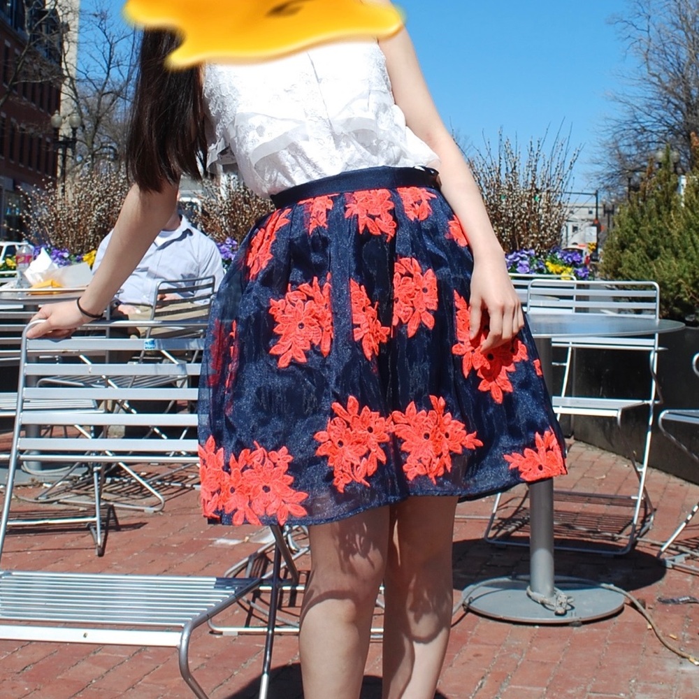 Anthropology embroidered skirt- xs